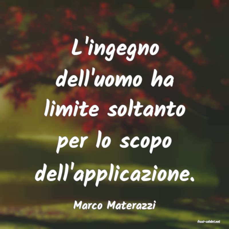 frasi di Marco Materazzi