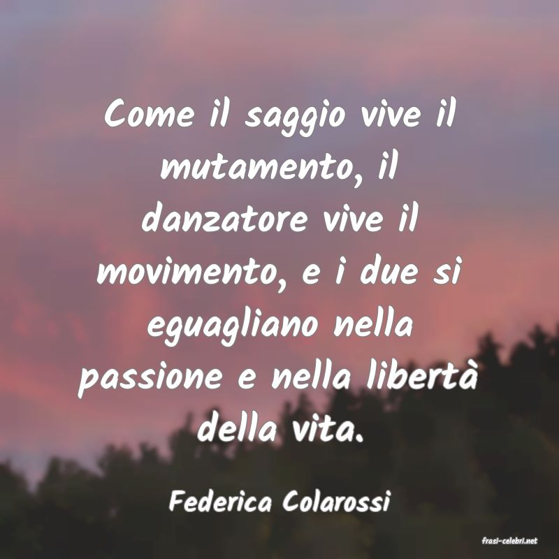 frasi di Federica Colarossi