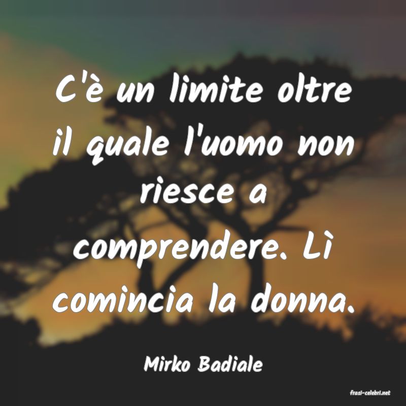 frasi di Mirko Badiale