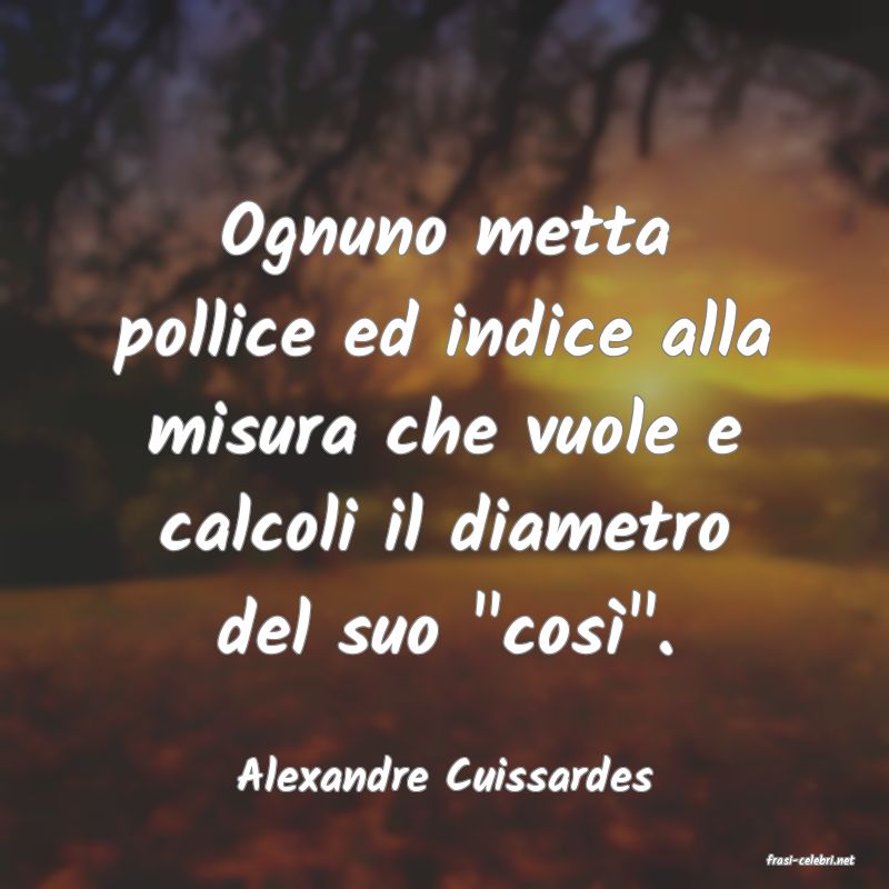 frasi di  Alexandre Cuissardes

