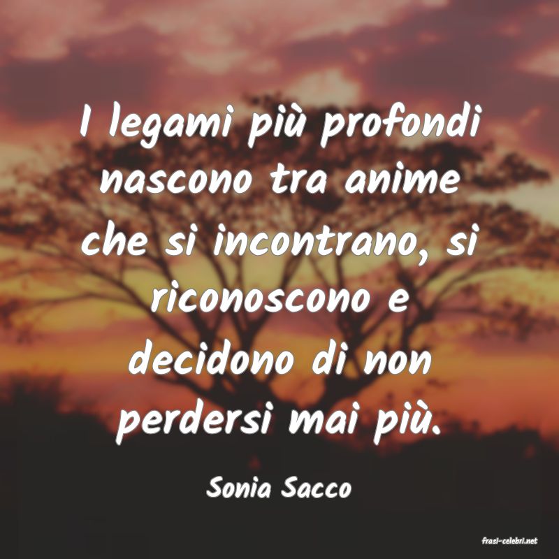 frasi di  Sonia Sacco
