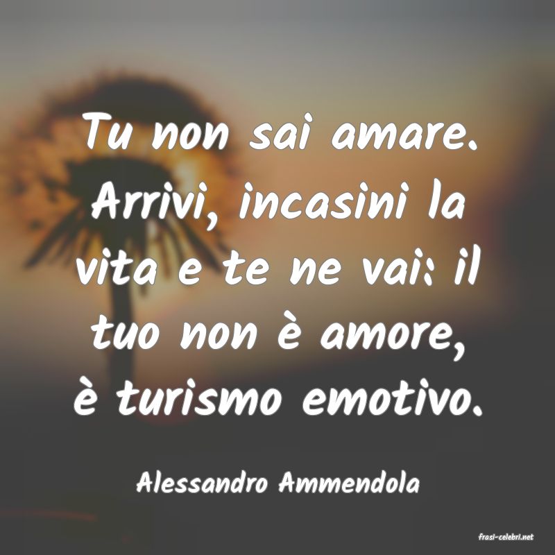 frasi di  Alessandro Ammendola
