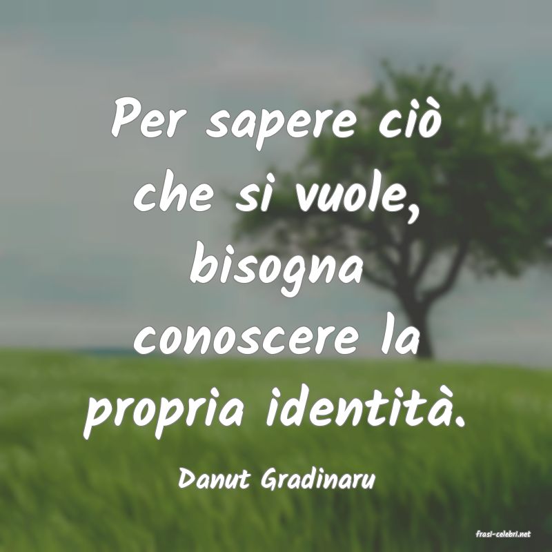 frasi di  Danut Gradinaru
