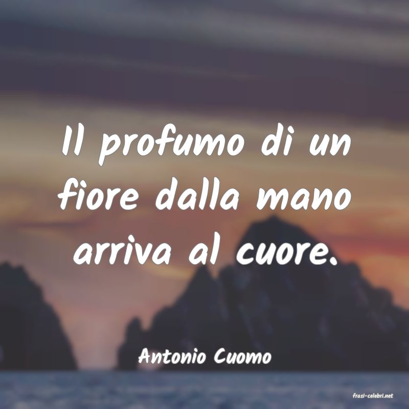frasi di  Antonio Cuomo

