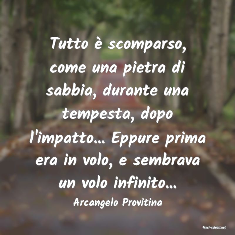 frasi di  Arcangelo Provitina
