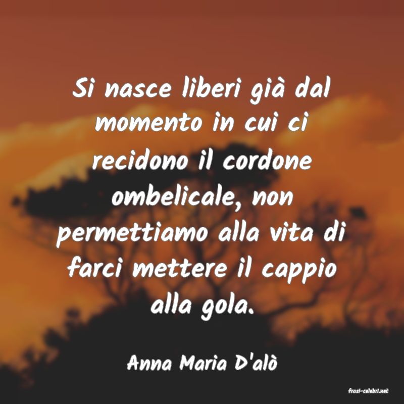frasi di Anna Maria D'al