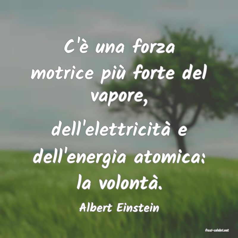 frasi di  Albert Einstein
