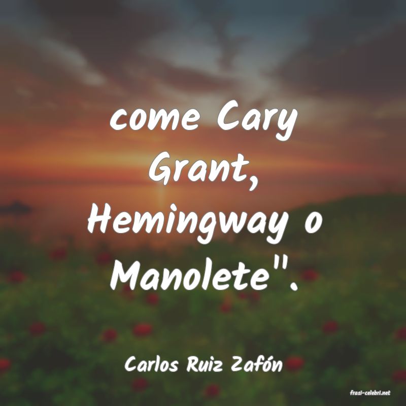 frasi di Carlos Ruiz Zafn