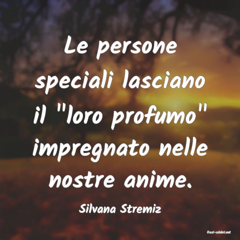 frasi di  Silvana Stremiz
