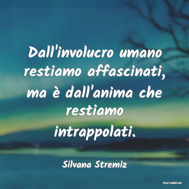 frasi di  Silvana Stremiz
