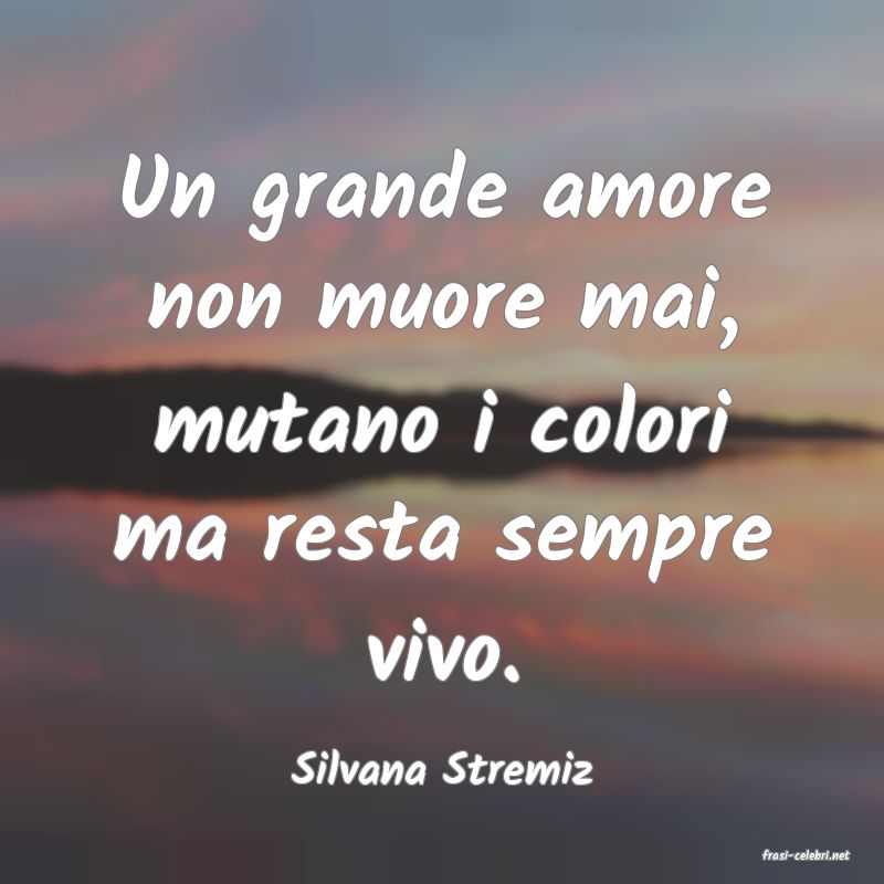 frasi di  Silvana Stremiz
