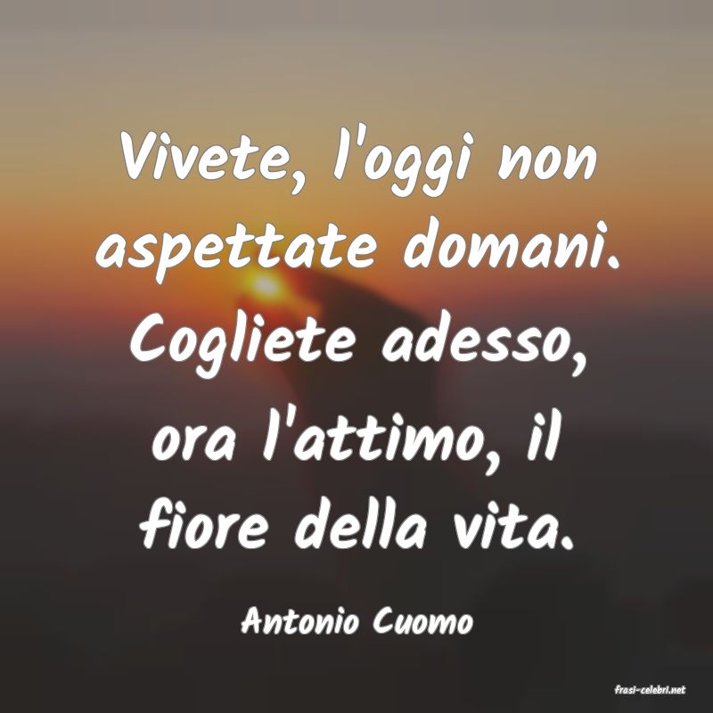 frasi di  Antonio Cuomo

