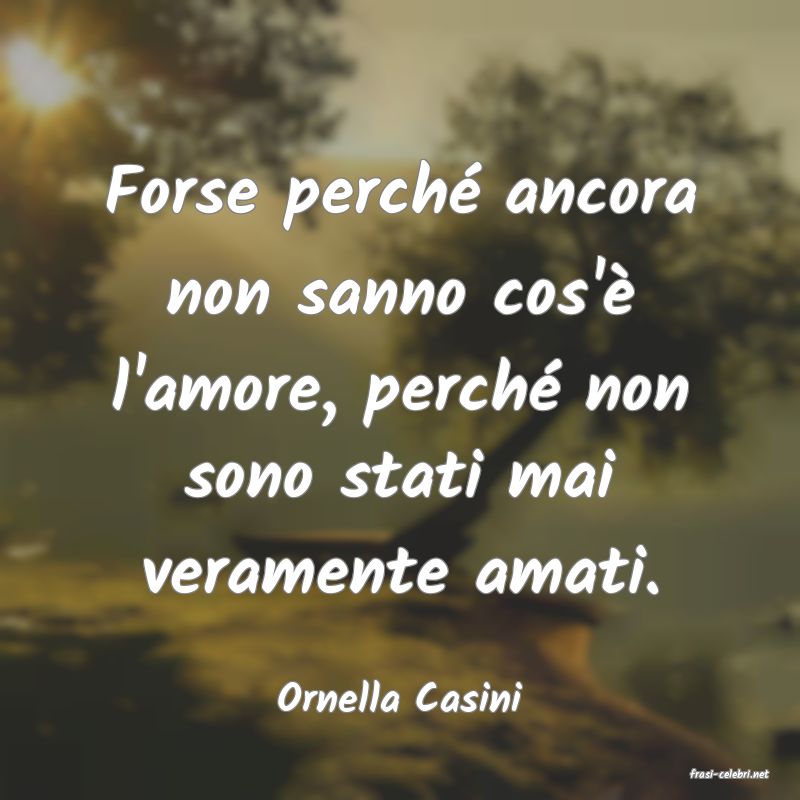 frasi di  Ornella Casini

