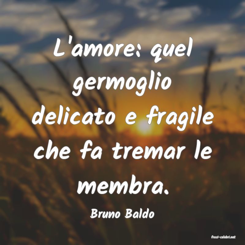 frasi di  Bruno Baldo
