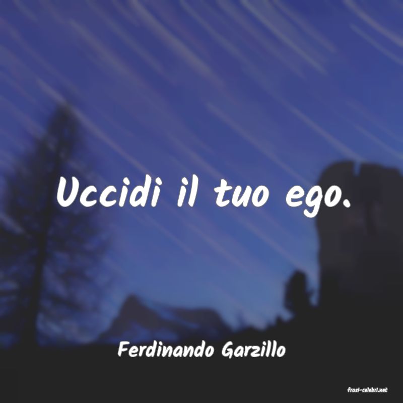 frasi di  Ferdinando Garzillo
