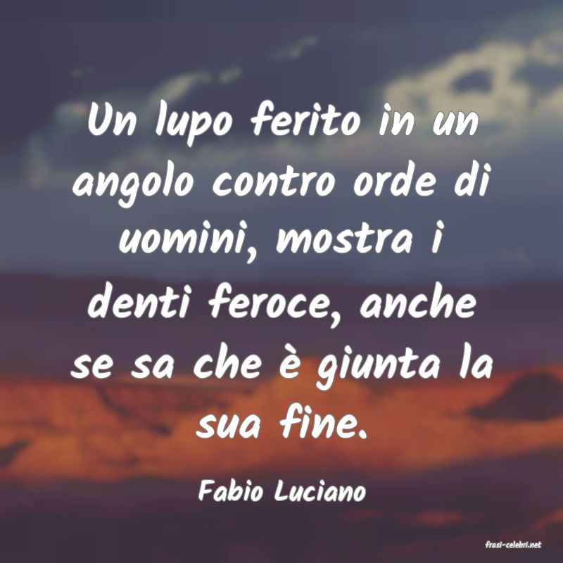 frasi di  Fabio Luciano
