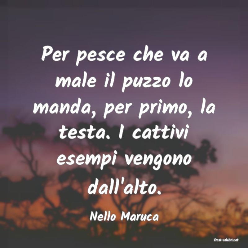 frasi di  Nello Maruca
