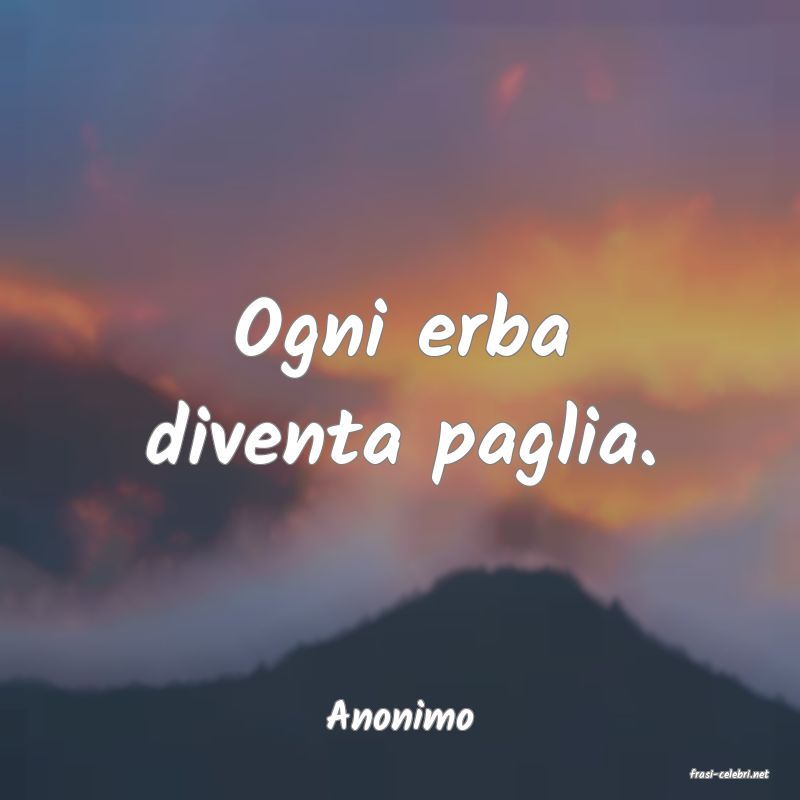 frasi di Anonimo