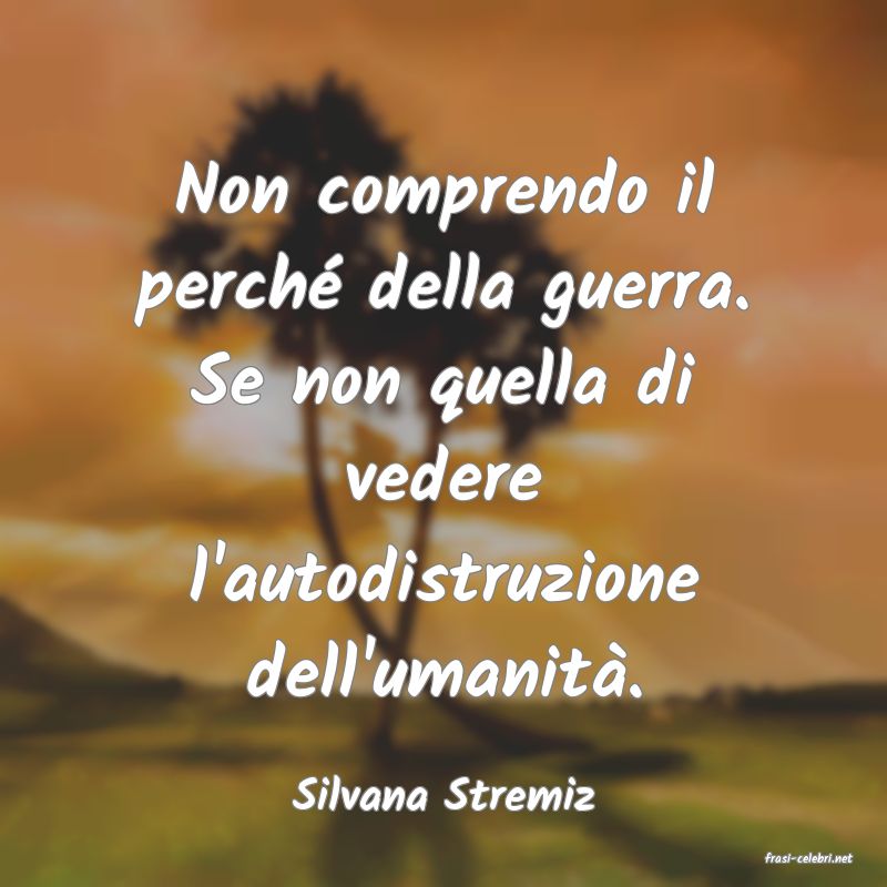 frasi di Silvana Stremiz