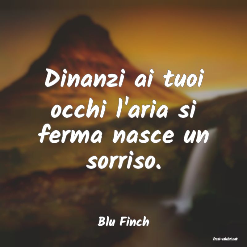 frasi di Blu Finch