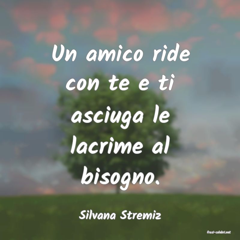 frasi di Silvana Stremiz