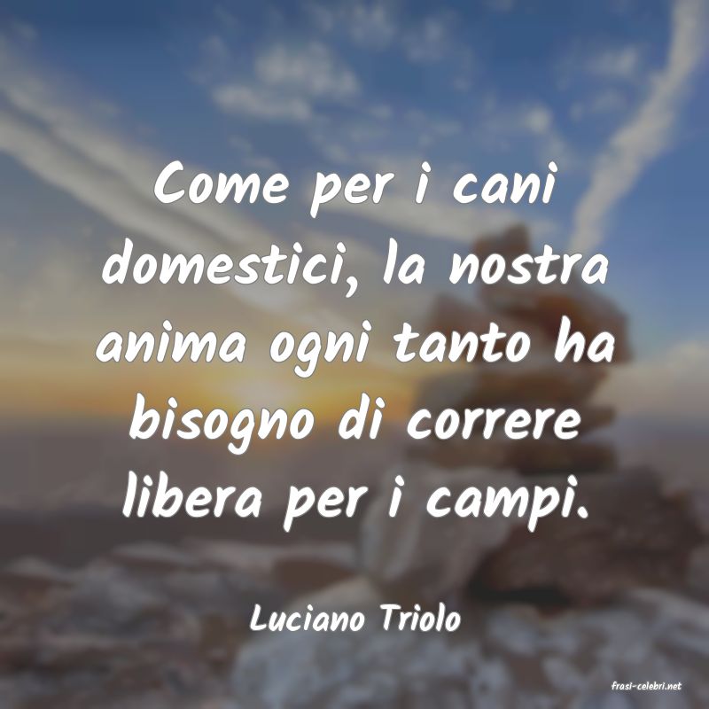 frasi di  Luciano Triolo
