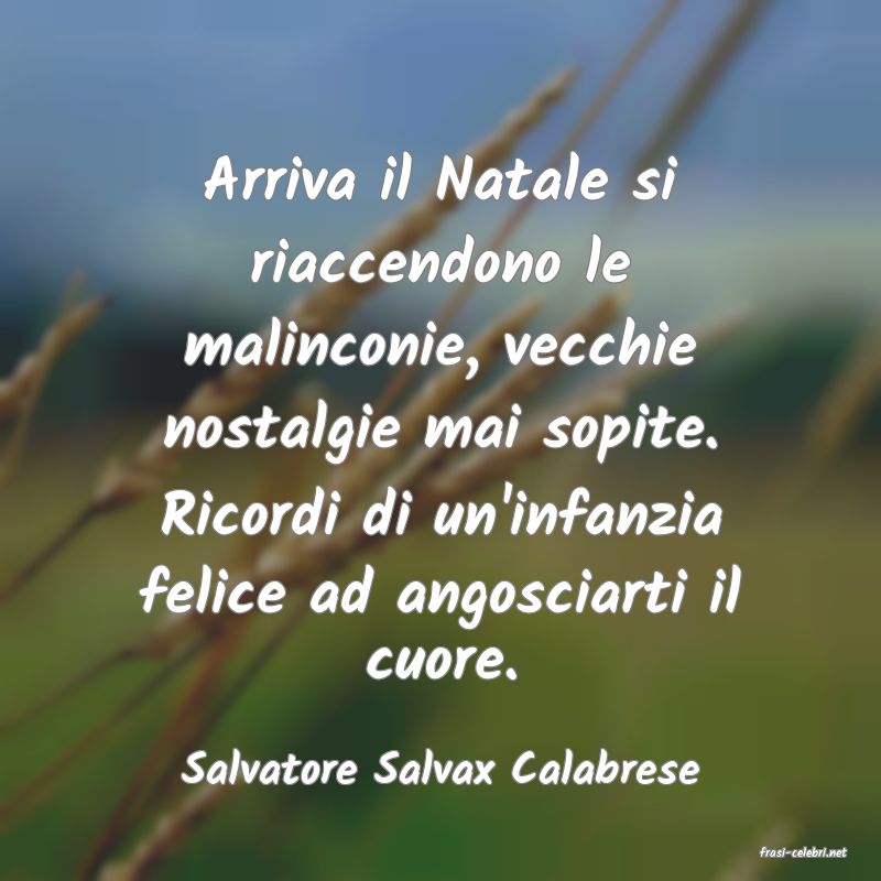 frasi di  Salvatore Salvax Calabrese
