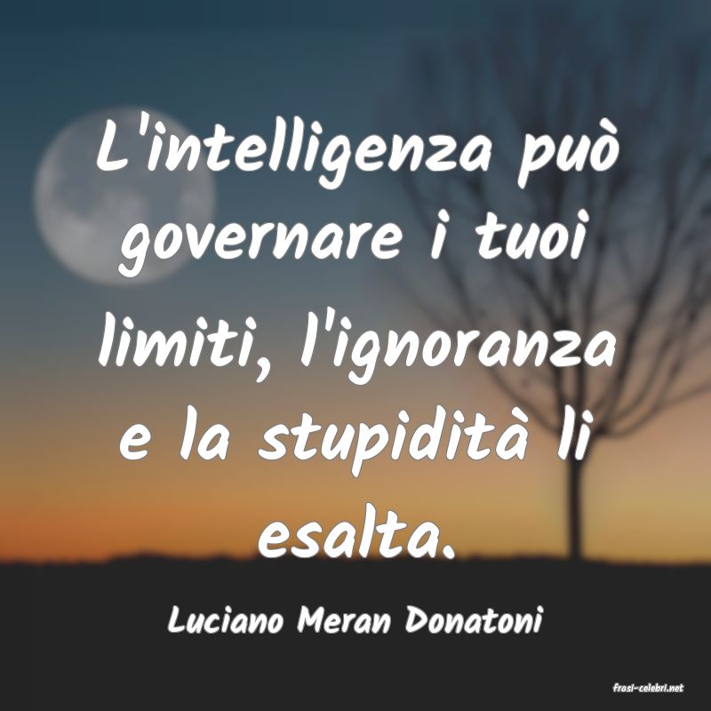 frasi di  Luciano Meran Donatoni
