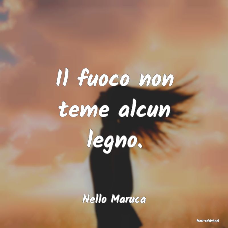 frasi di  Nello Maruca
