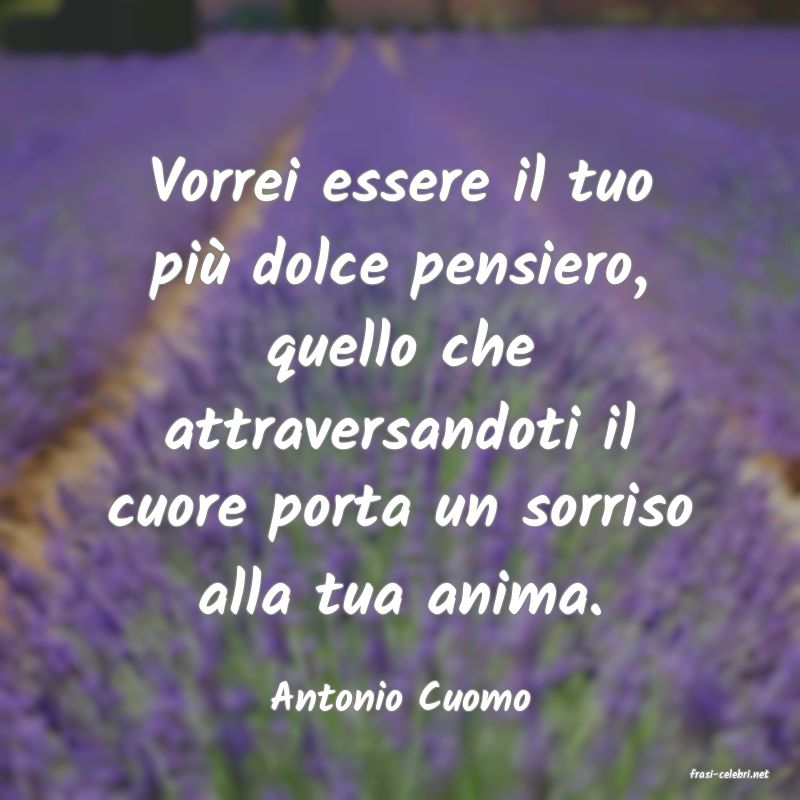 frasi di  Antonio Cuomo
