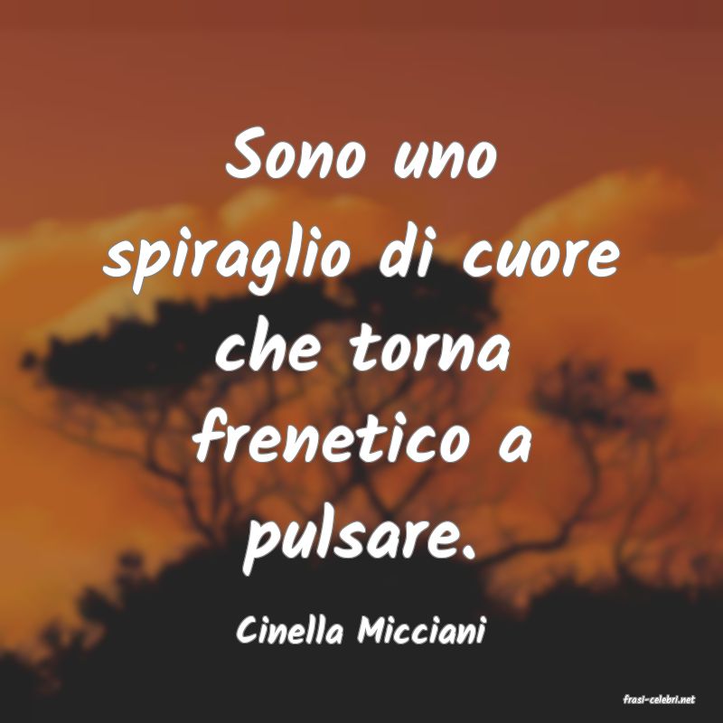 frasi di  Cinella Micciani
