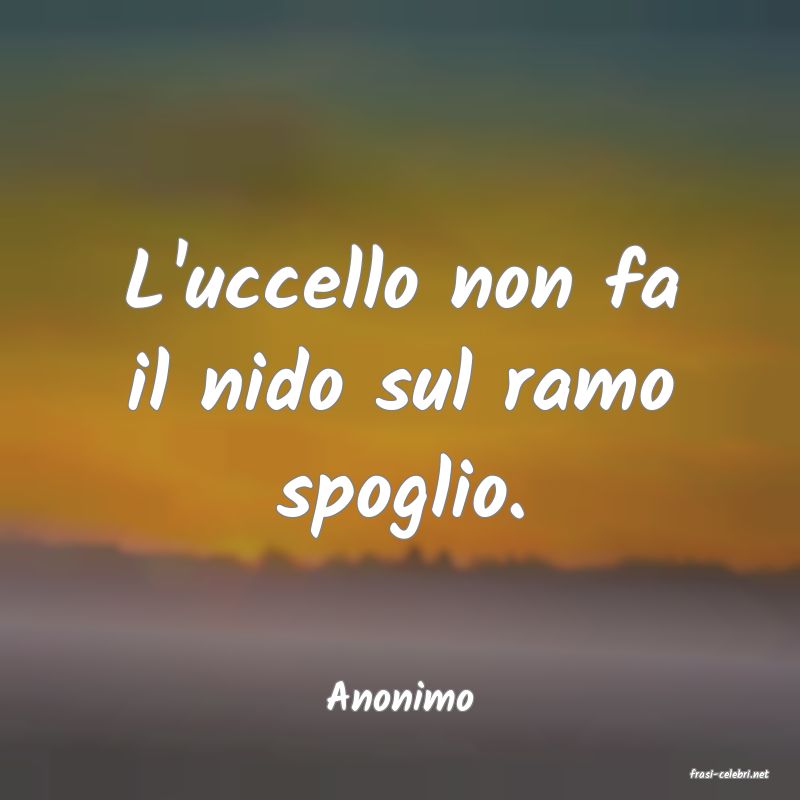 frasi di  Anonimo
