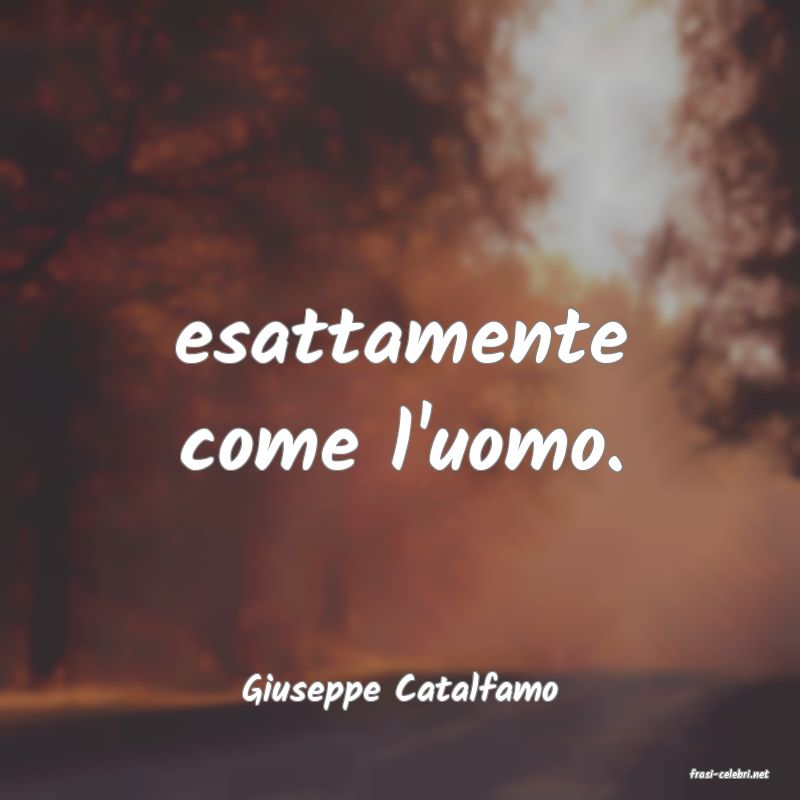 frasi di  Giuseppe Catalfamo
