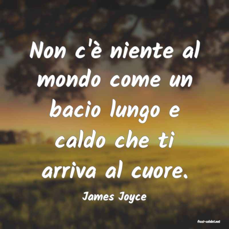 frasi di  James Joyce
