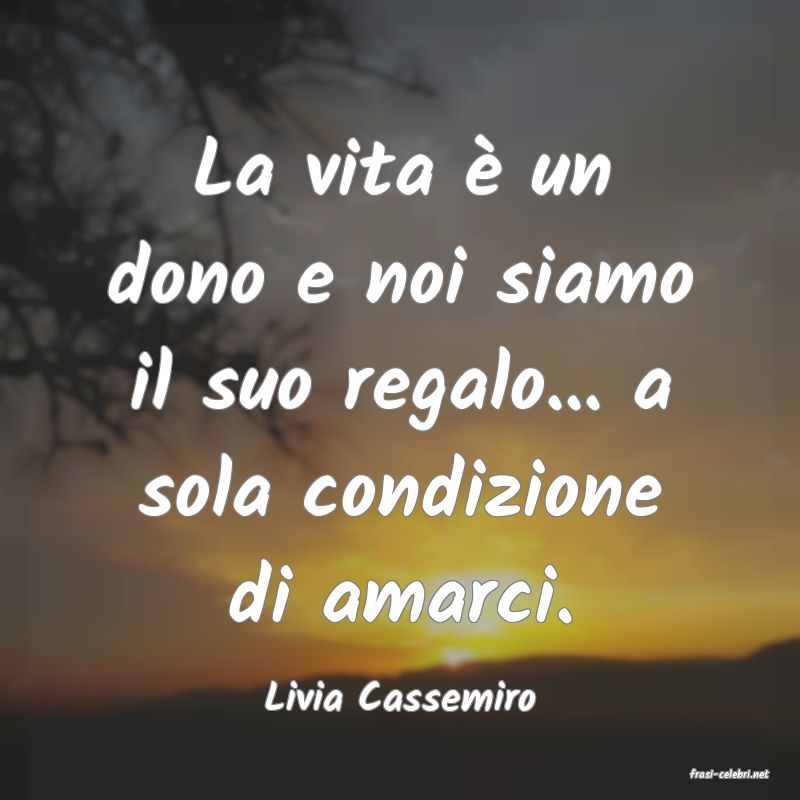frasi di  Livia Cassemiro
