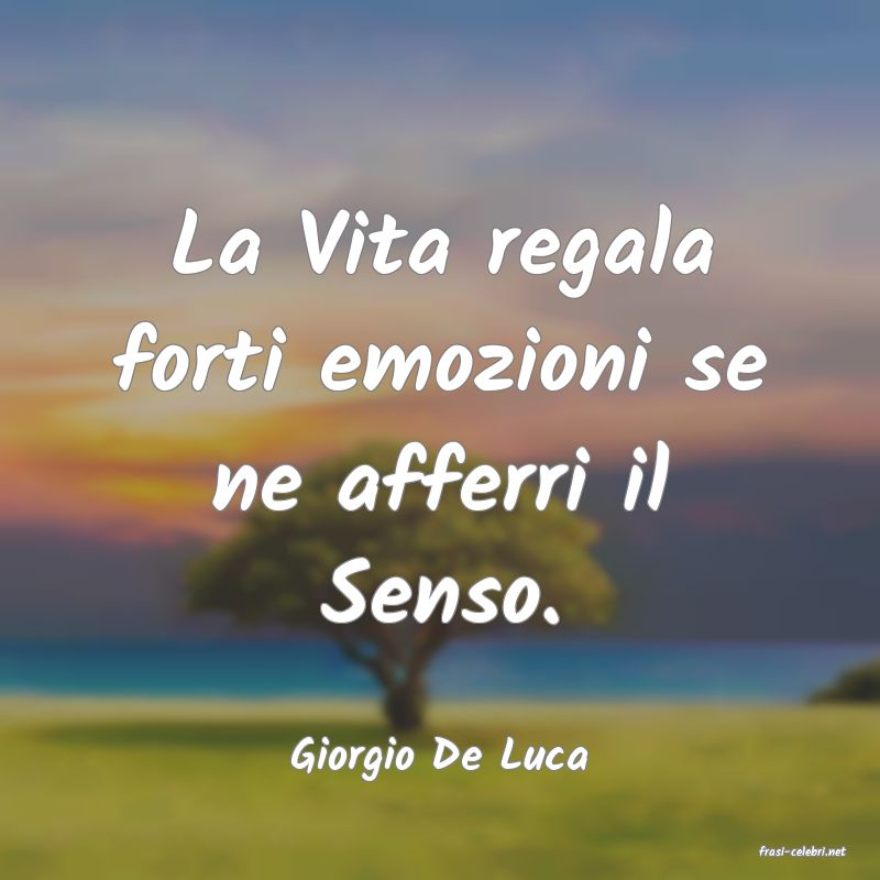frasi di  Giorgio De Luca
