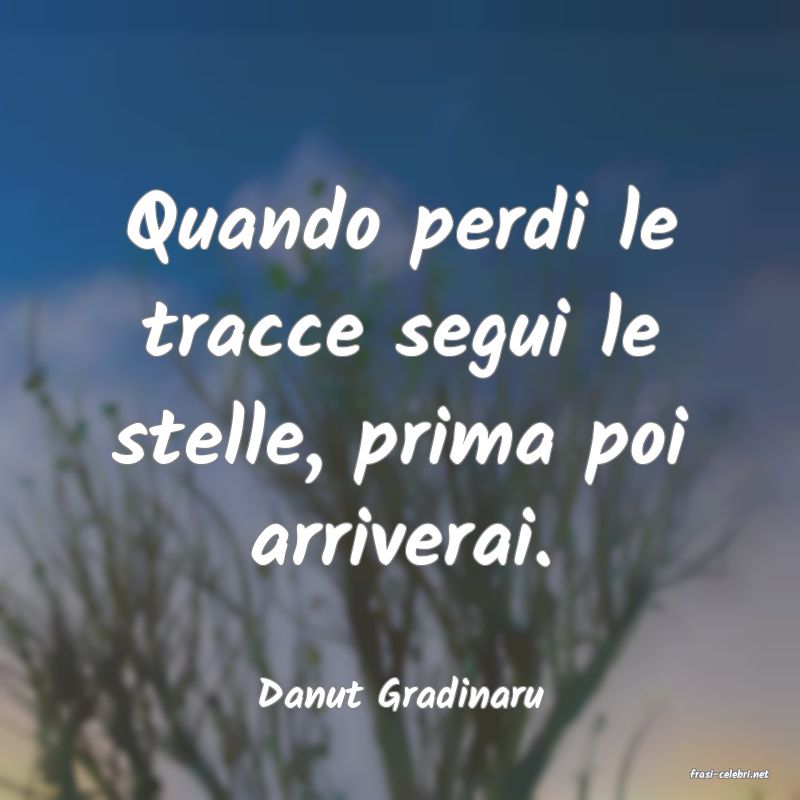 frasi di  Danut Gradinaru
