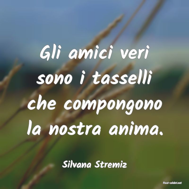 frasi di  Silvana Stremiz
