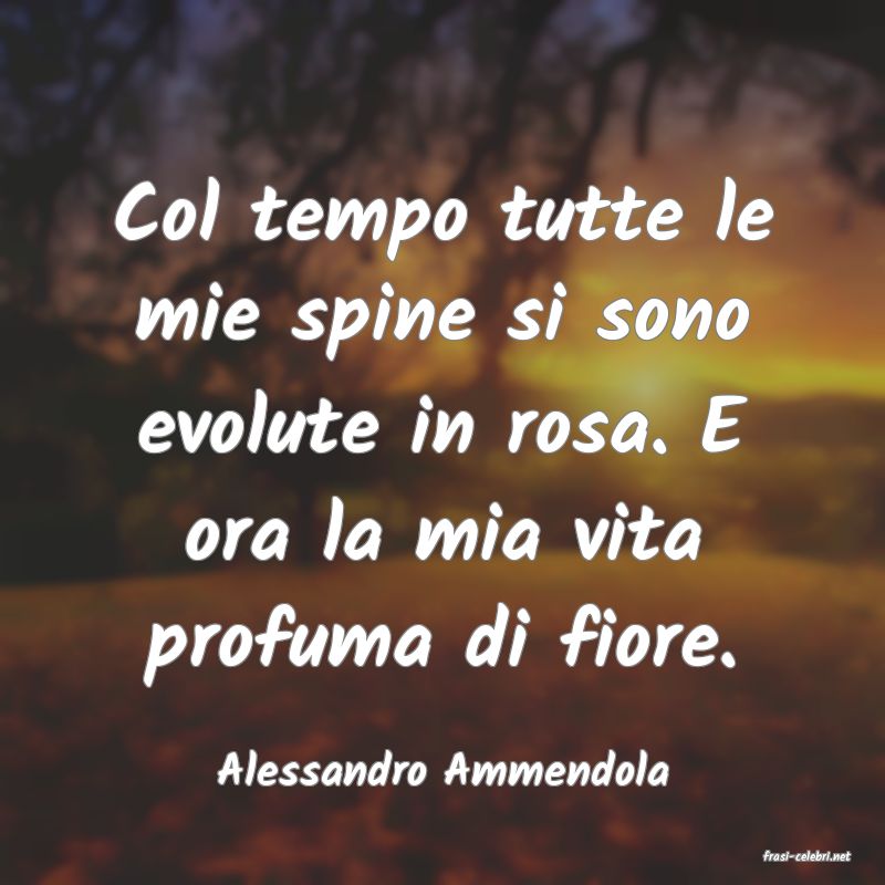 frasi di  Alessandro Ammendola
