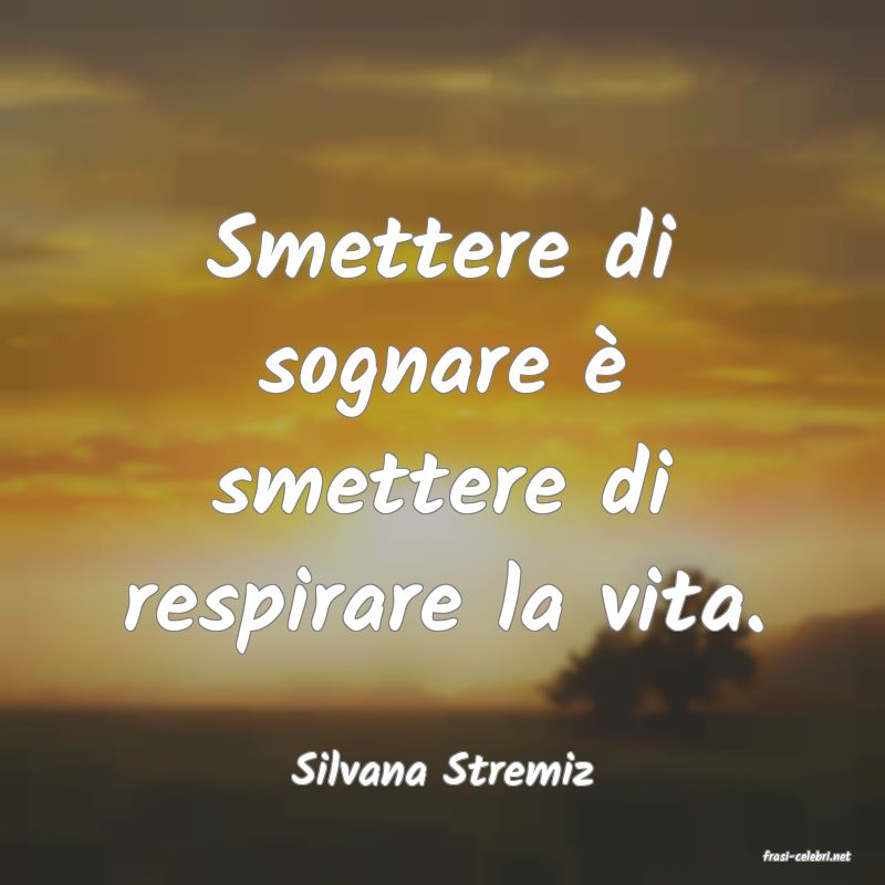 frasi di  Silvana Stremiz
