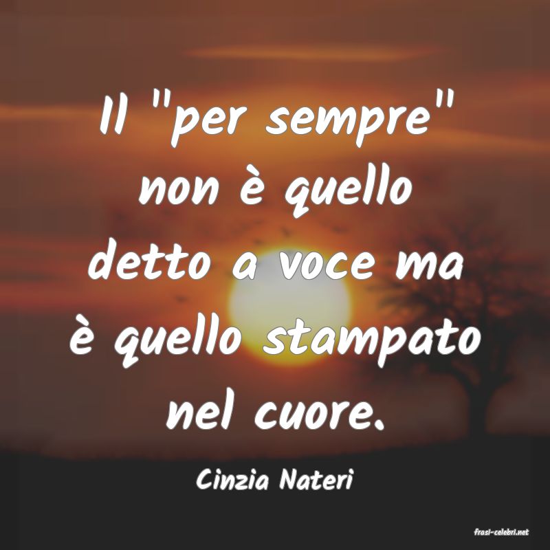frasi di  Cinzia Nateri
