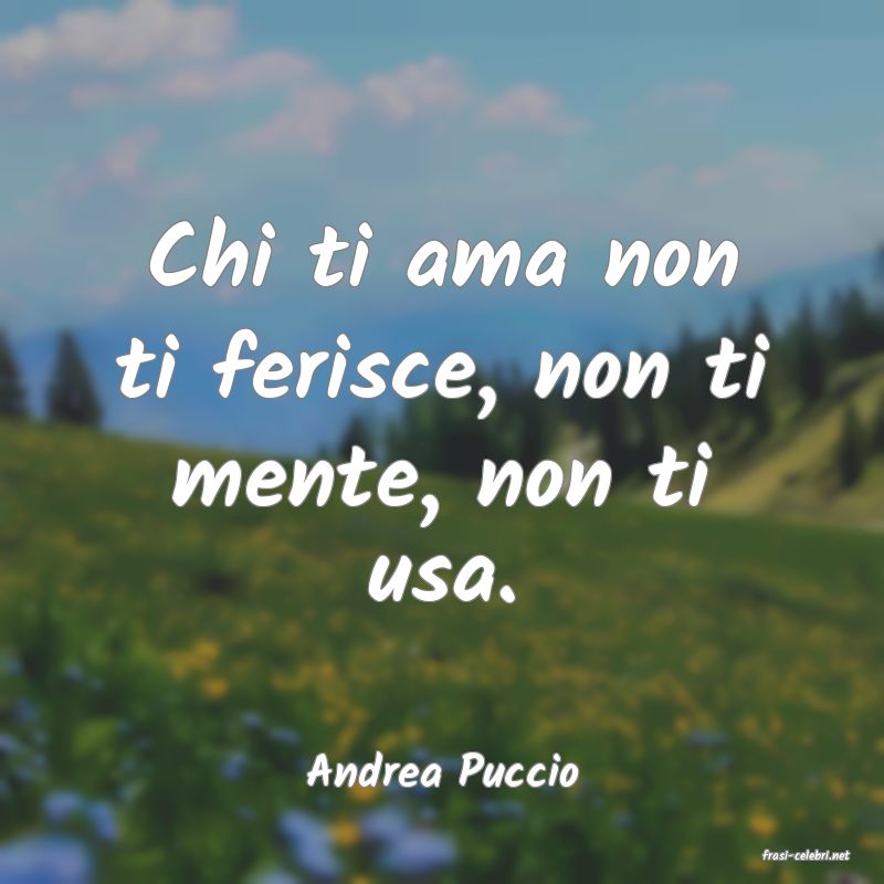 frasi di  Andrea Puccio
