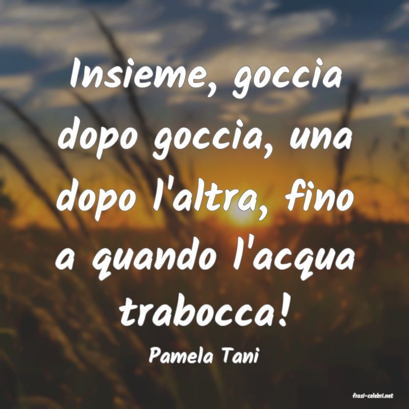 frasi di  Pamela Tani
