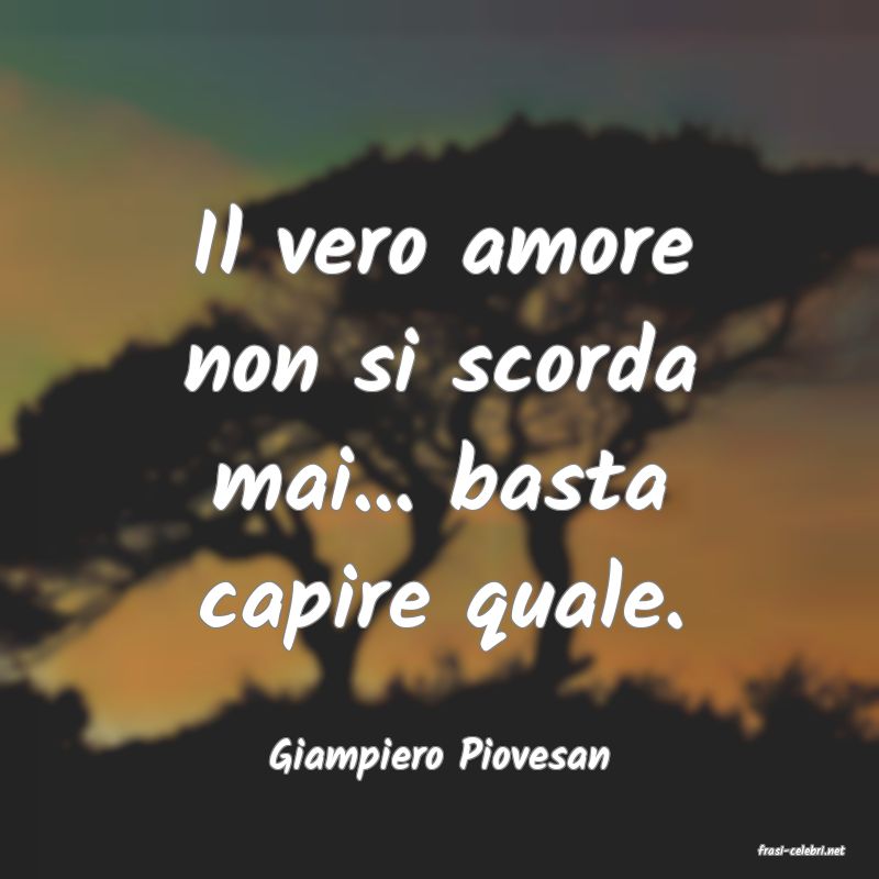 frasi di  Giampiero Piovesan
