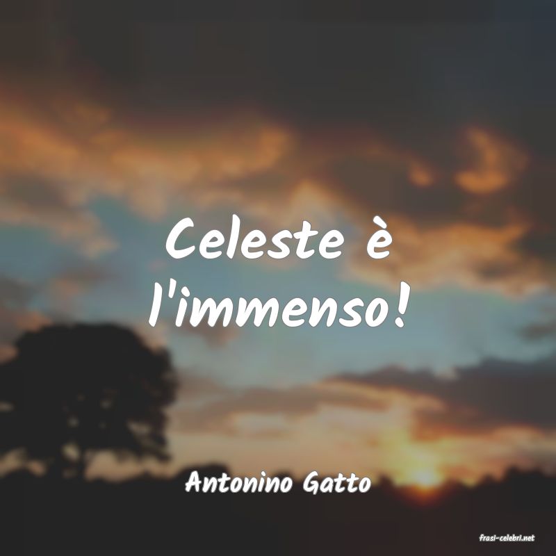 frasi di  Antonino Gatto
