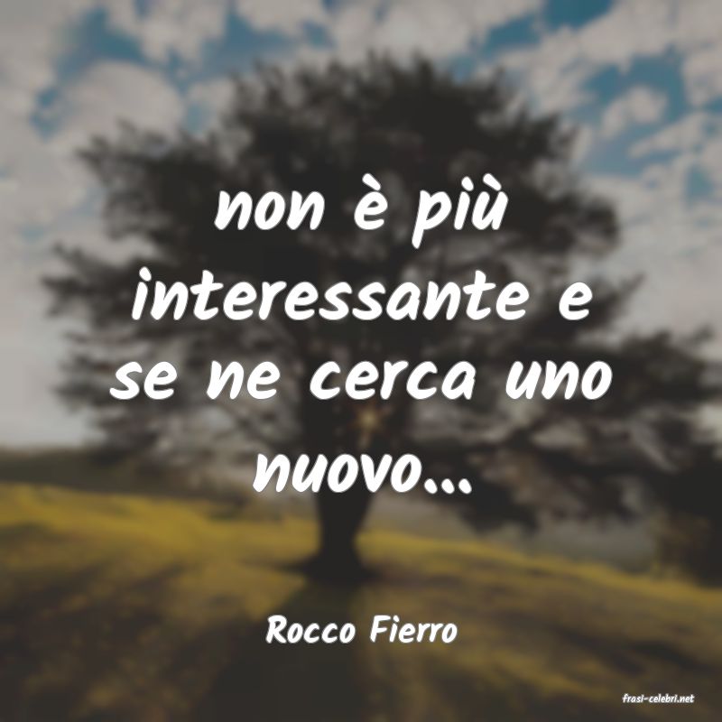frasi di  Rocco Fierro
