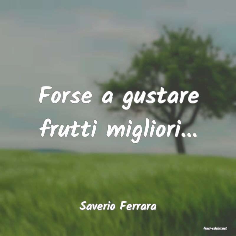 frasi di  Saverio Ferrara
