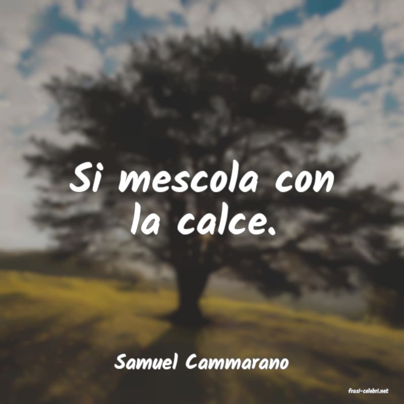 frasi di Samuel Cammarano