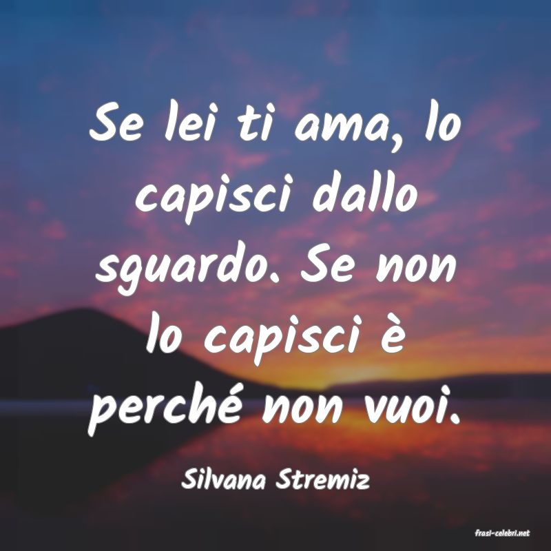frasi di  Silvana Stremiz
