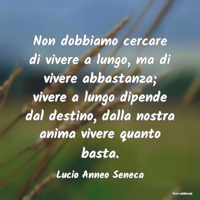 frasi di  Lucio Anneo Seneca
